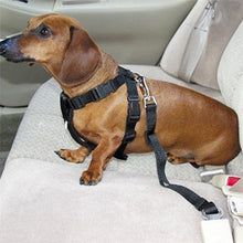 Free Dog Pet Car Safety Seat Belt - Just Pay Shipping