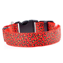 FREE LED Leopard Dog Collar