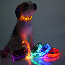 FREE LED Leopard Dog Collar