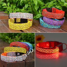 FREE LED Leopard Dog Collar