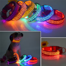 FREE LED Leopard Dog Collar