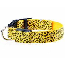 FREE LED Leopard Dog Collar