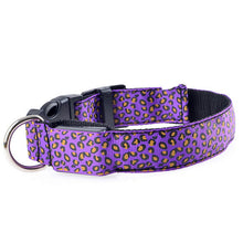 FREE LED Leopard Dog Collar