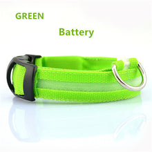 Luminous Safety Pet LED Collar
