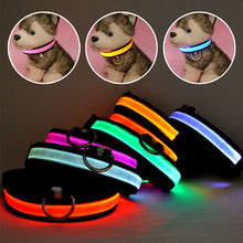 FREE - LED Dog Collar - Just Pay Shipping