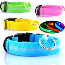 FREE - LED Dog Collar - Just Pay Shipping