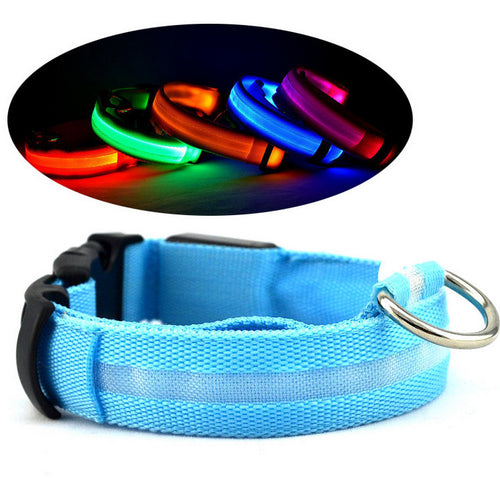 FREE - LED Dog Collar - Just Pay Shipping