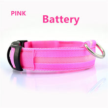 Luminous Safety Pet LED Collar
