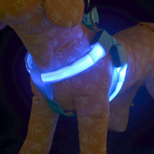 LED Safety Pet Harness LED Light