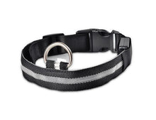 FREE - LED Dog Collar - Just Pay Shipping