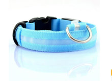 FREE - LED Dog Collar - Just Pay Shipping