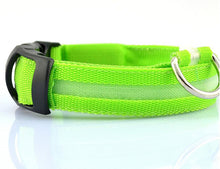 FREE - LED Dog Collar - Just Pay Shipping