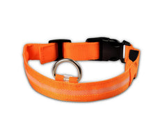 FREE - LED Dog Collar - Just Pay Shipping