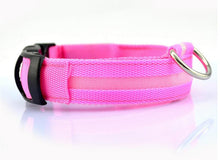 FREE - LED Dog Collar - Just Pay Shipping