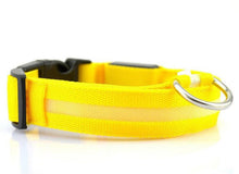 FREE - LED Dog Collar - Just Pay Shipping